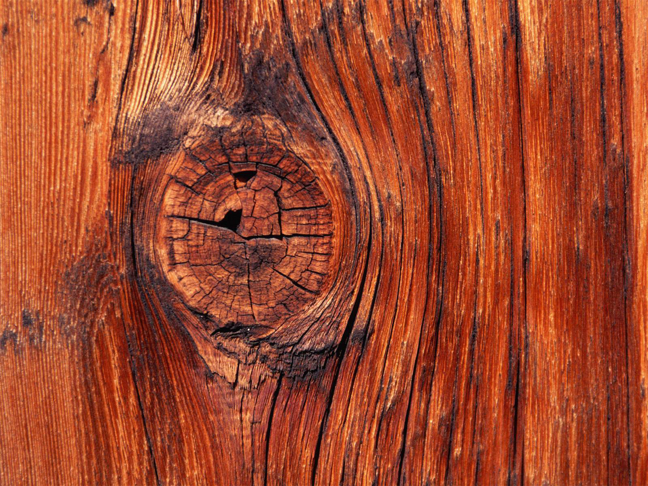 Wood Desktop Wallpaper For HD Widescreen And Mobile