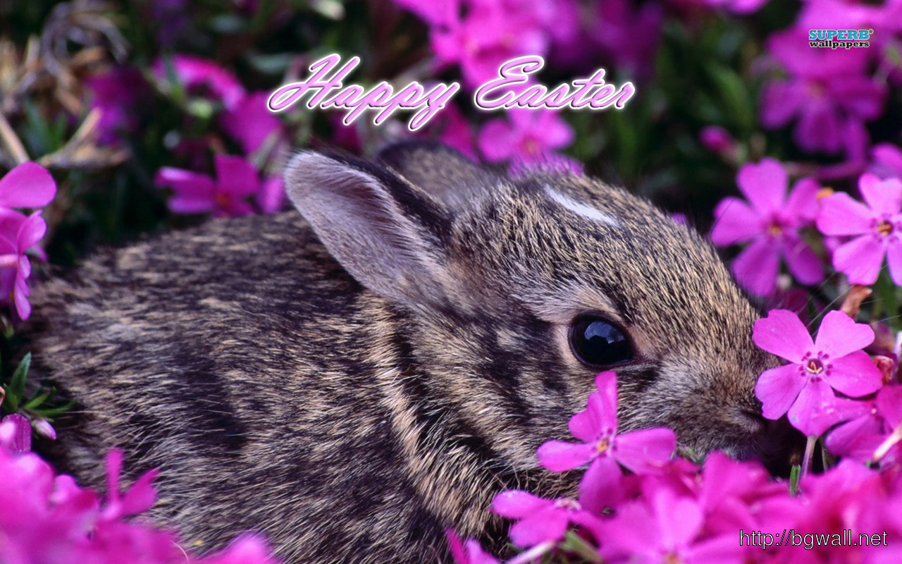 Pics Photos   Wallpaper Background Easter Bunny Wallpapers