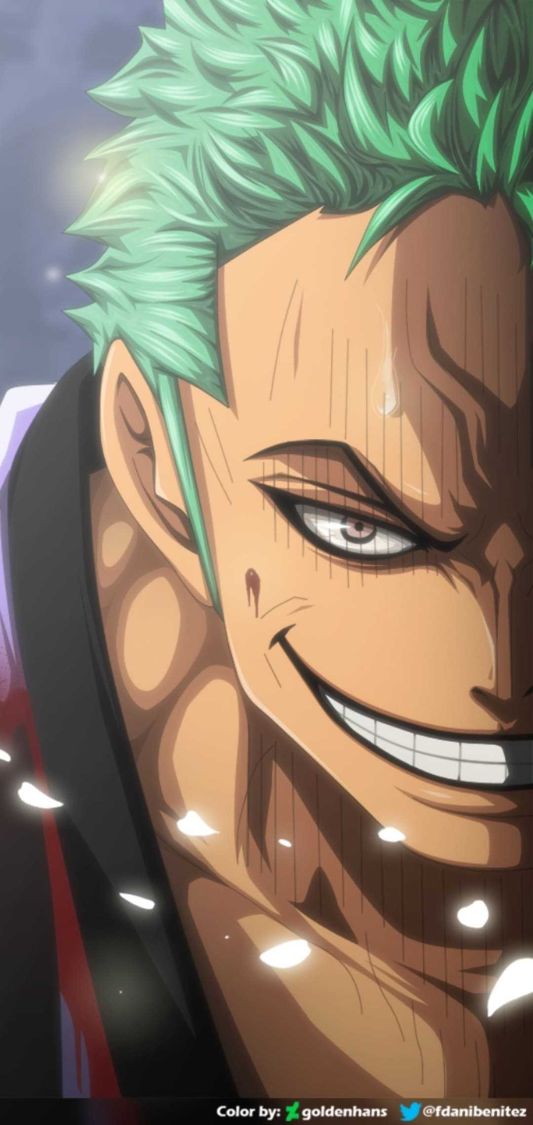 Roronoa Zoro - ONE PIECE - Image #2706914 - Zerochan Anime Image Board