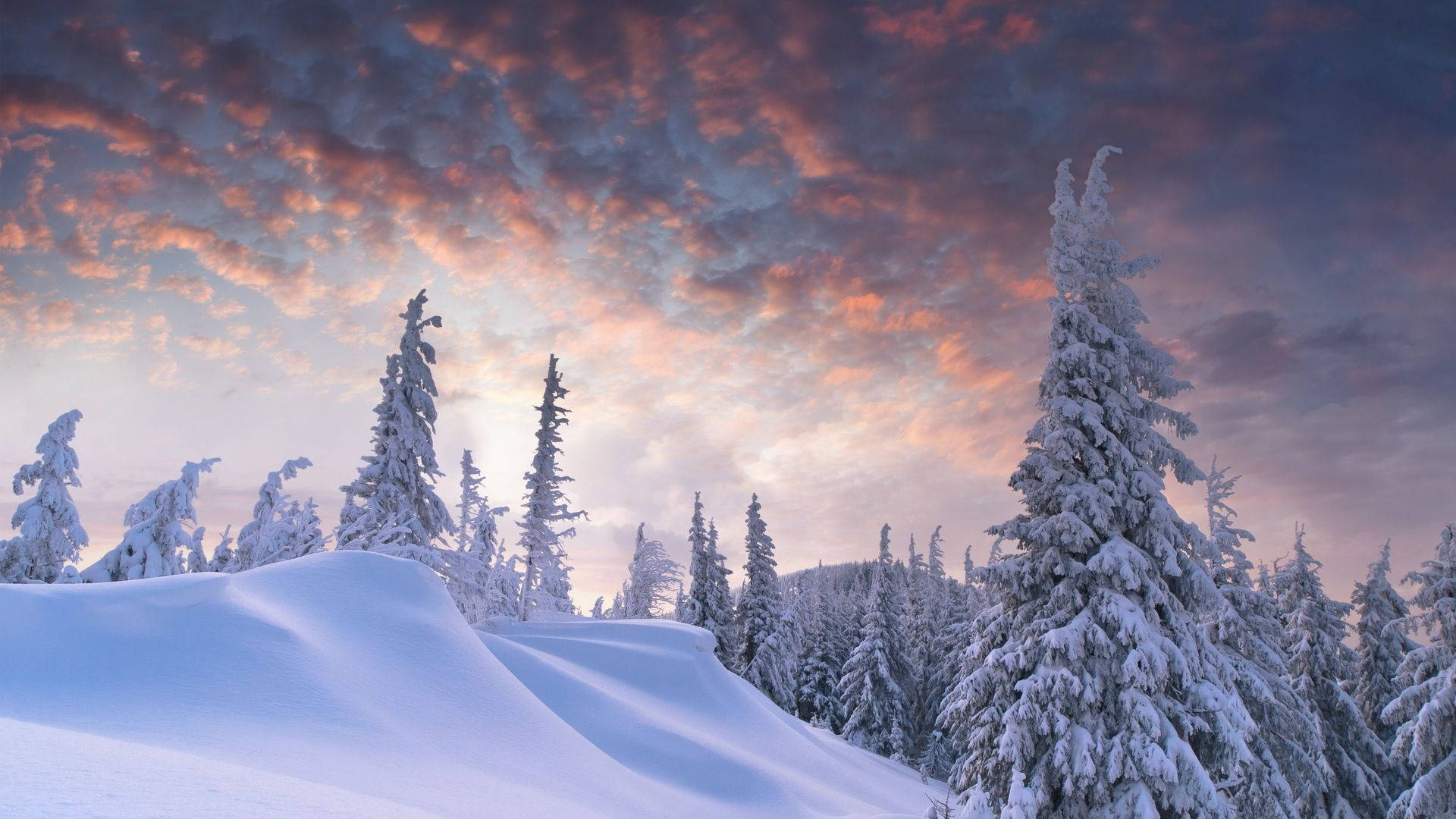 Snow Aesthetic Wallpaper