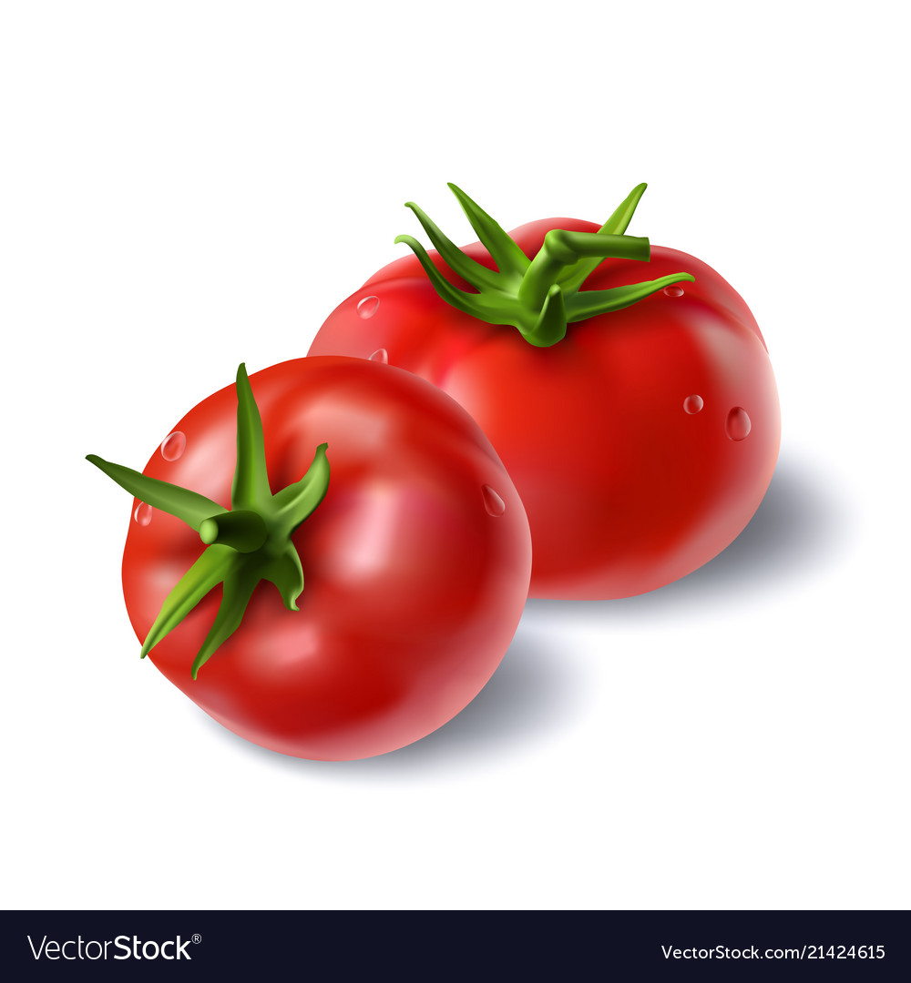 Vegetable Icon Tomato White Background Imag Vector Image