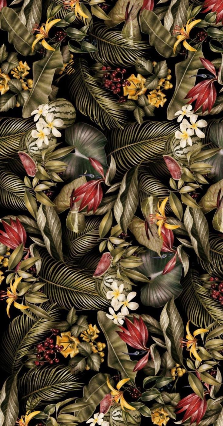 Tropical Patterns Orna Prints Wallpaper Texture