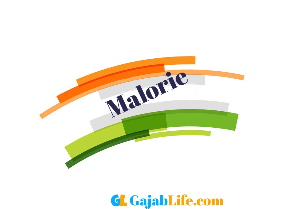 Create Your Republic Day Wallpaper Malorie With Name Profile