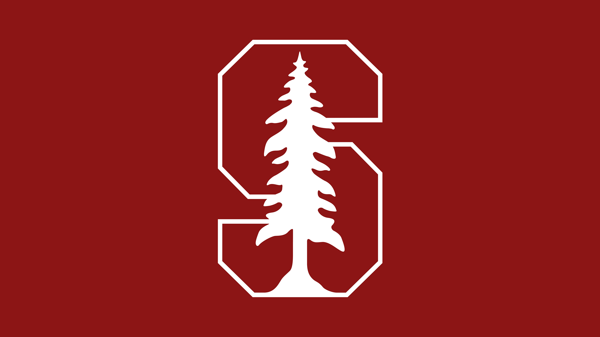 Stanford Cardinal Football HD Wallpaper Background Image