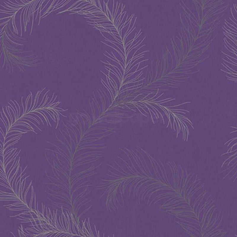 Luscious Purple and Silver Feathers Wallpaper at Go Wallpaper 800x800