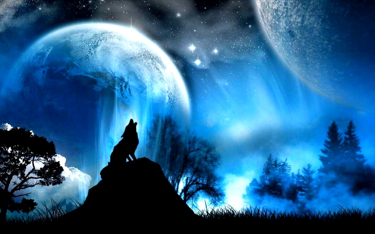Fantasy images Wolf wallpaper photos