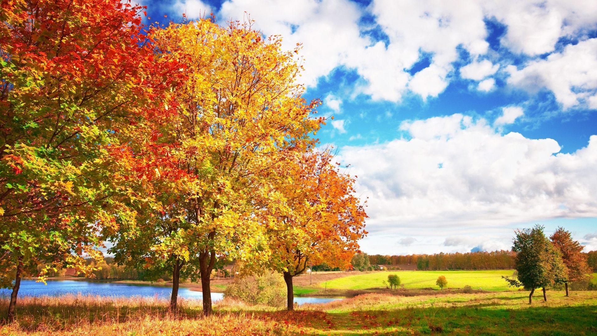 Sunny Autumn Day Desktop Wallpaper