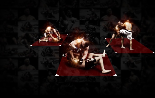 Mixed Martial Arts Fighters Champions Wallpaper Photos Pictures