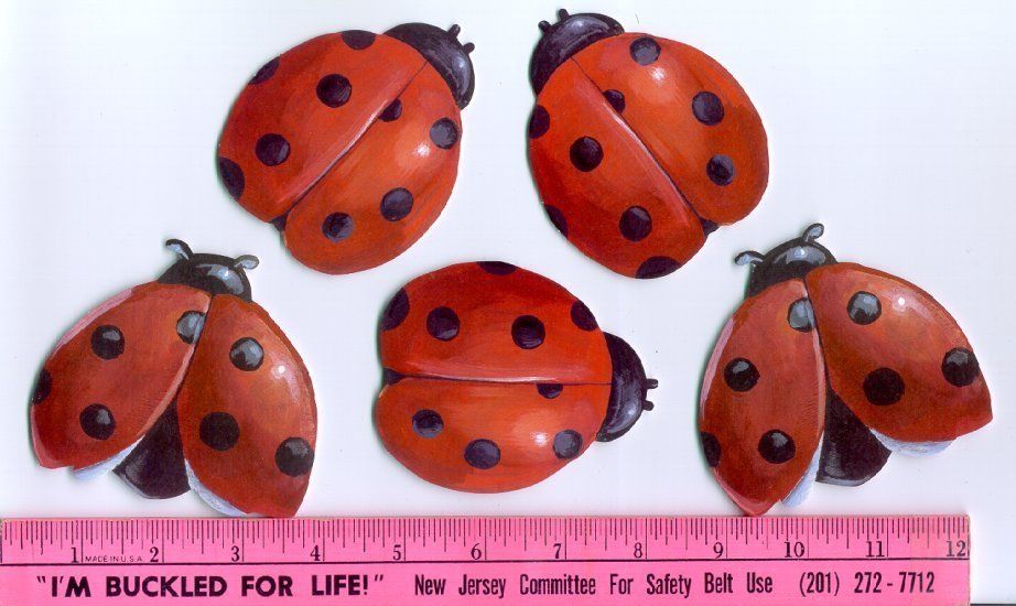 Ladybugs Wallpaper Border Cutouts Prepasted Pieces Bugs Insects