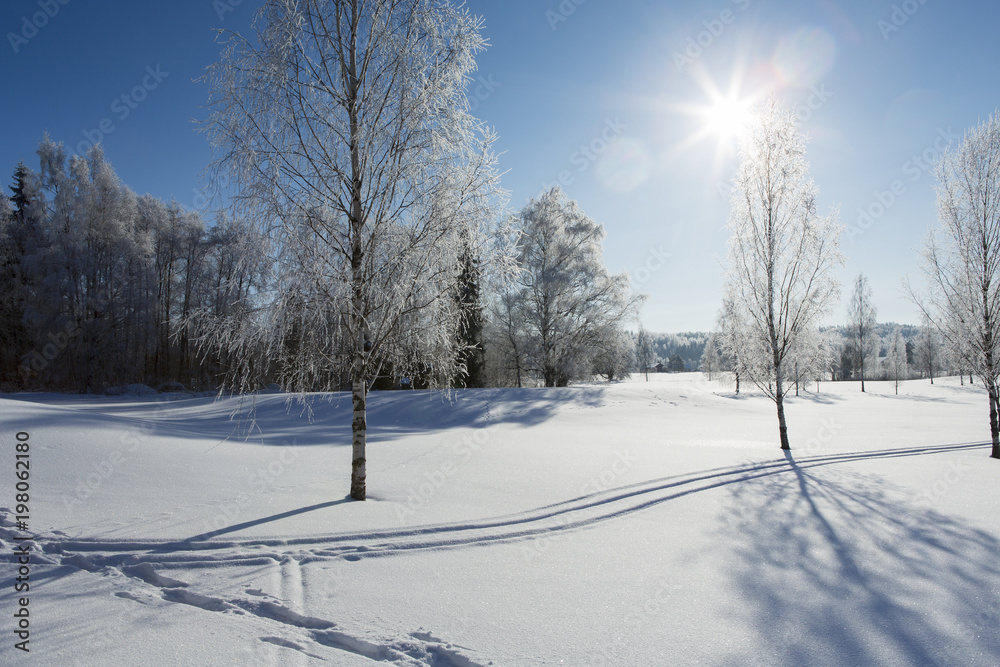 Beautiful winter wonderland wallpaper from Finland Sunny and cold