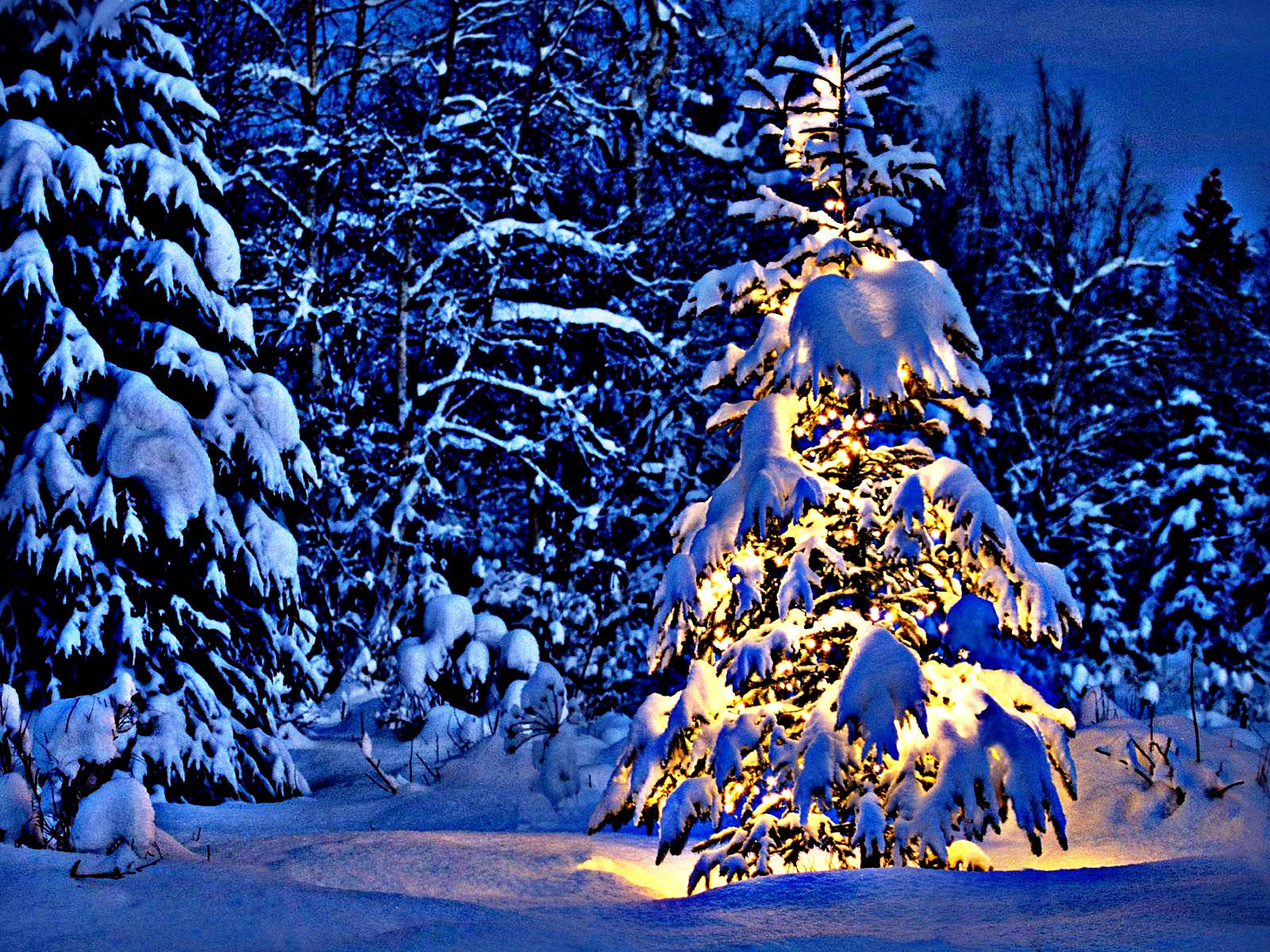 Christmas Vacation Wallpaper
