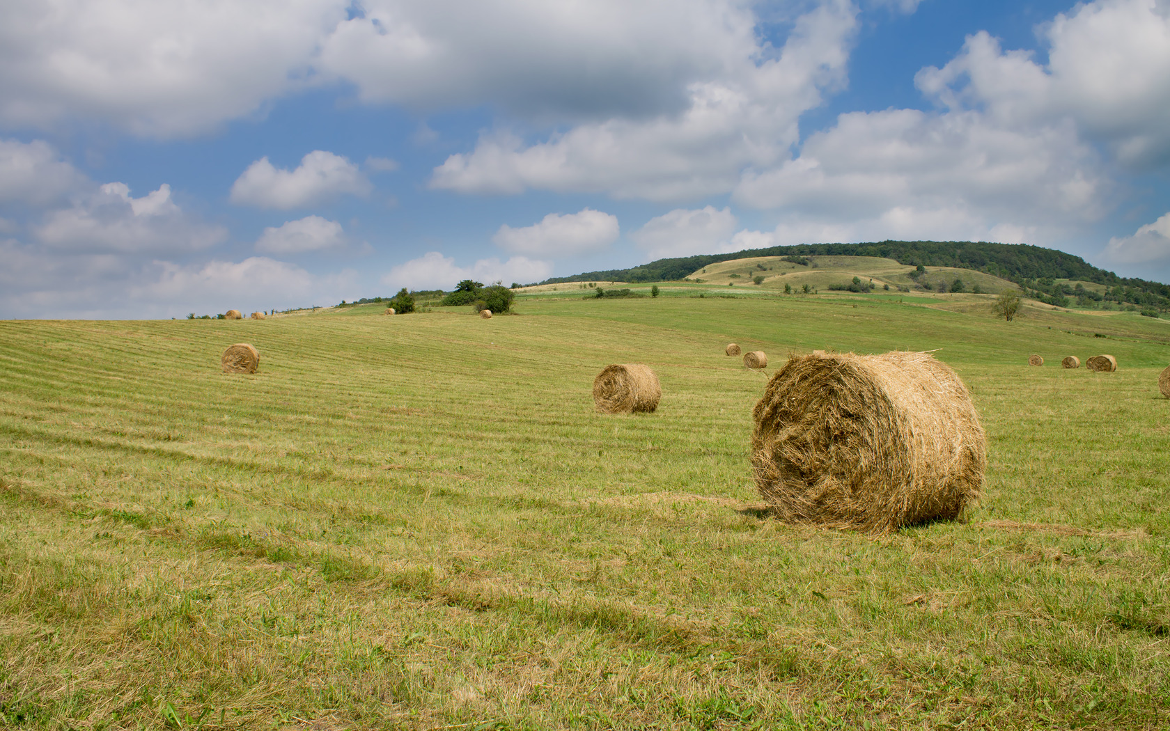 Hay Bales On The Field Wallpaper