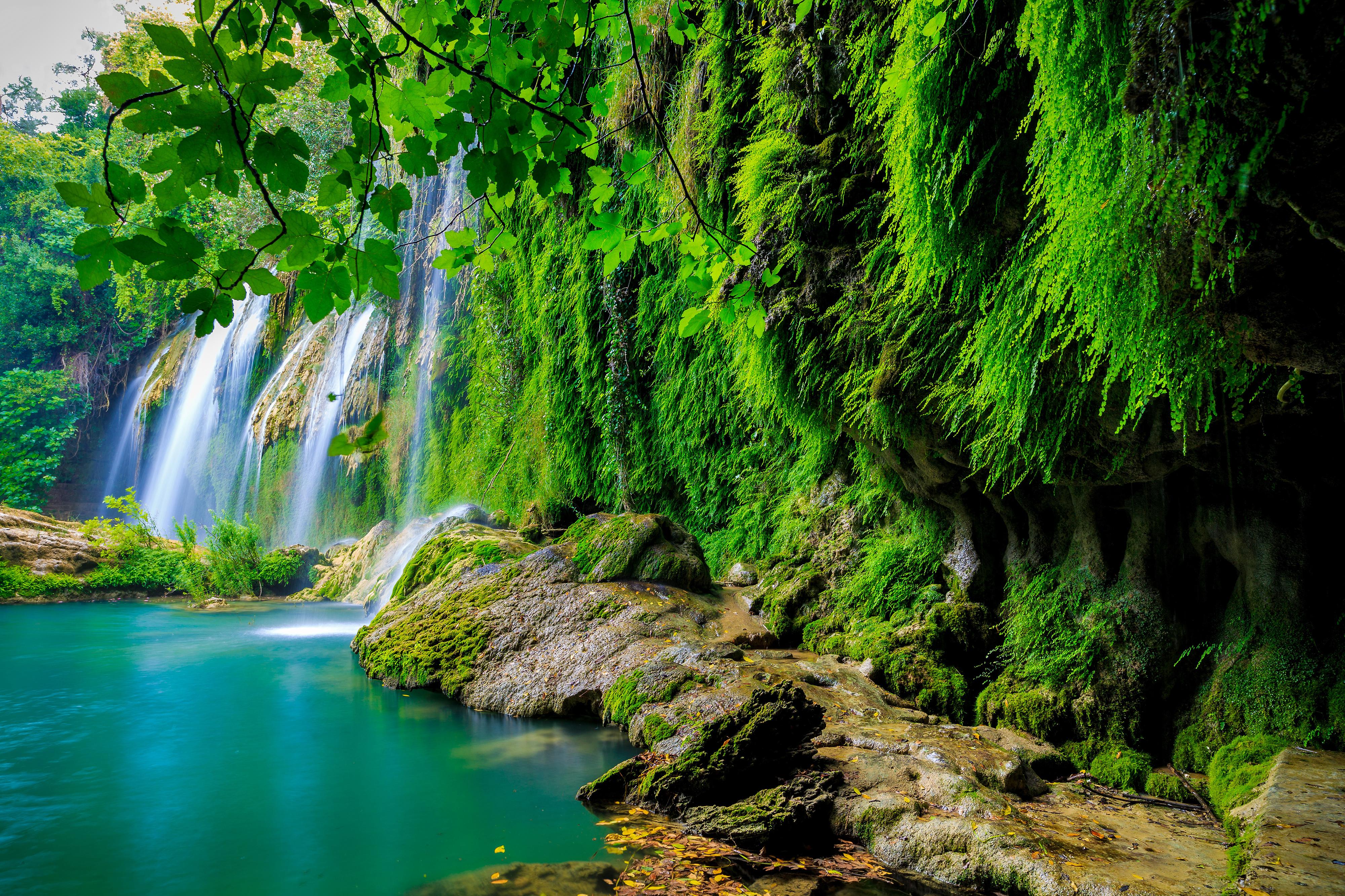 Tropical Forest 4k Waterfall Rare Gallery HD Wallpaper