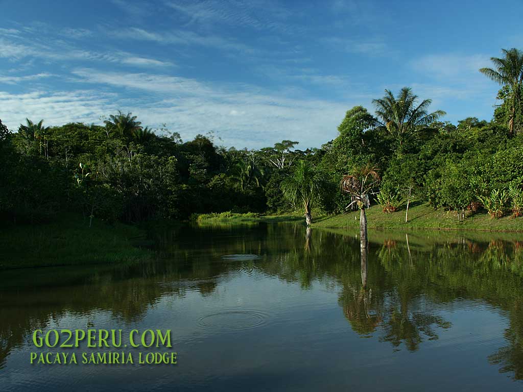 Free download Once the steamer is preheated you can see the steam