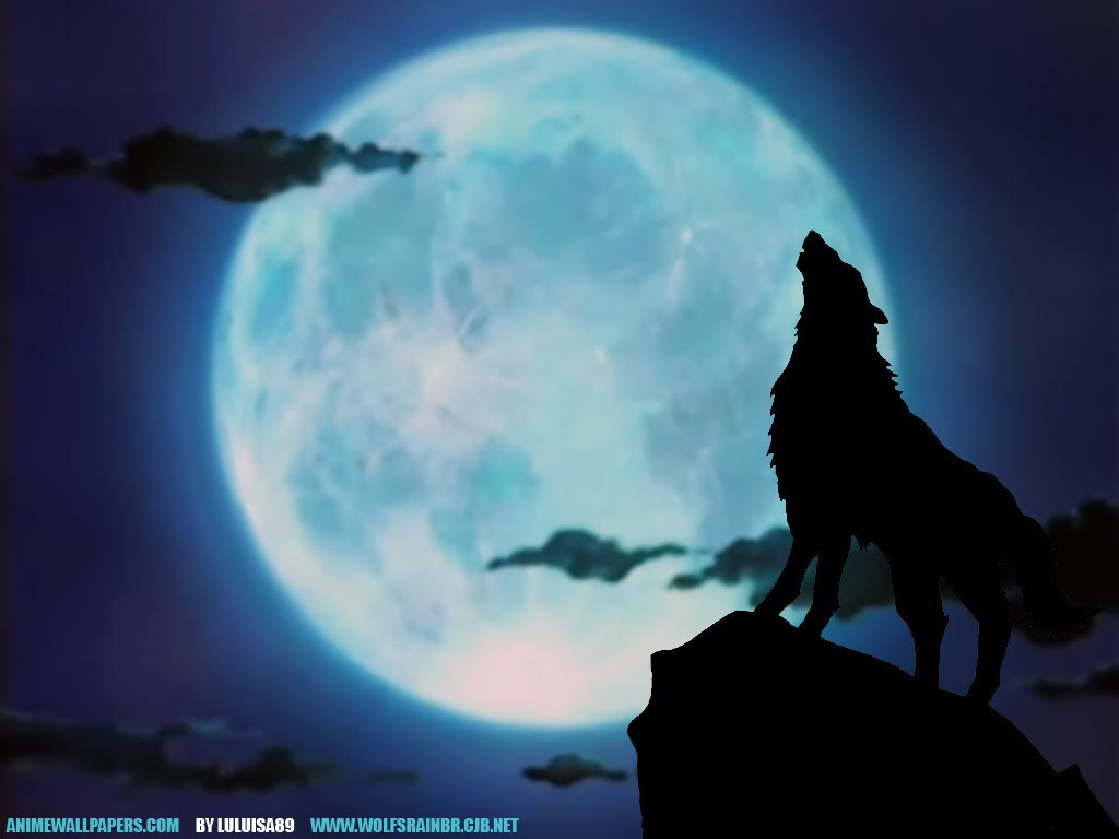 Howling Wolf Wallpaper Background For Desktops