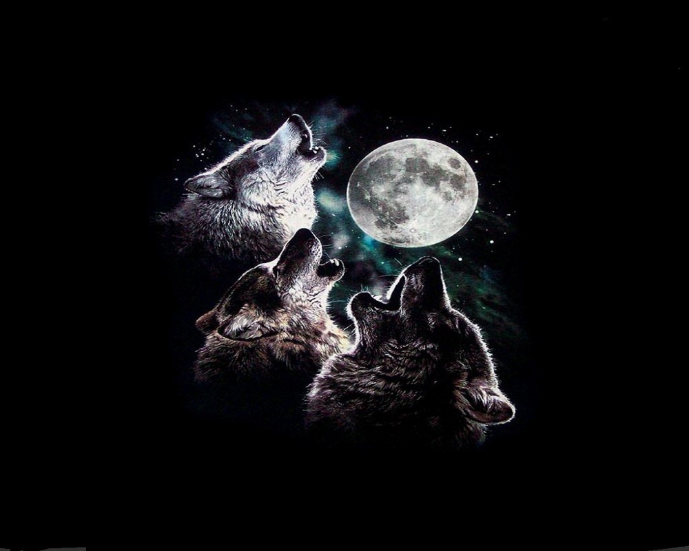 moon moon wolf Quotes