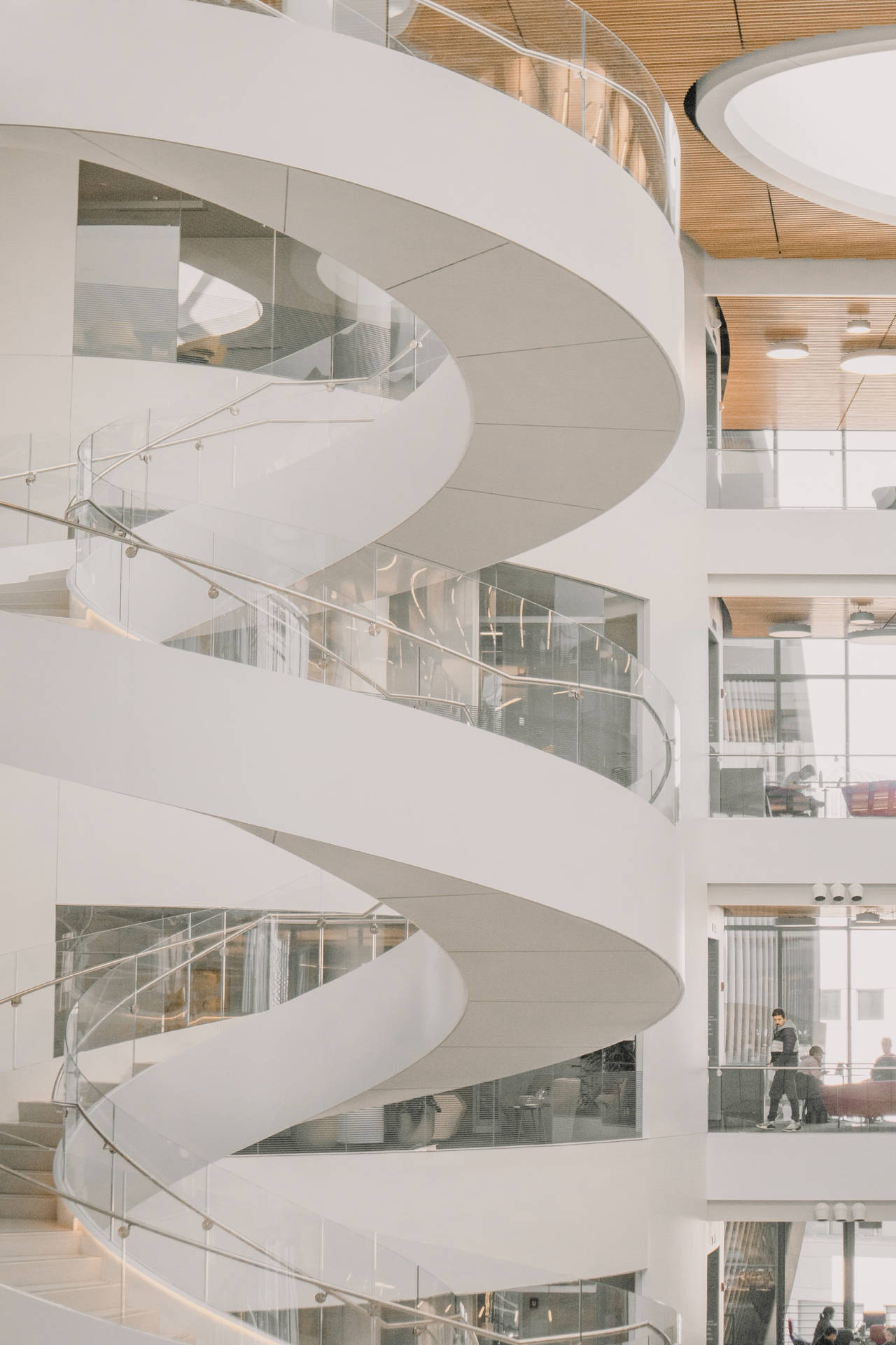 Northeastern University Wallpaper