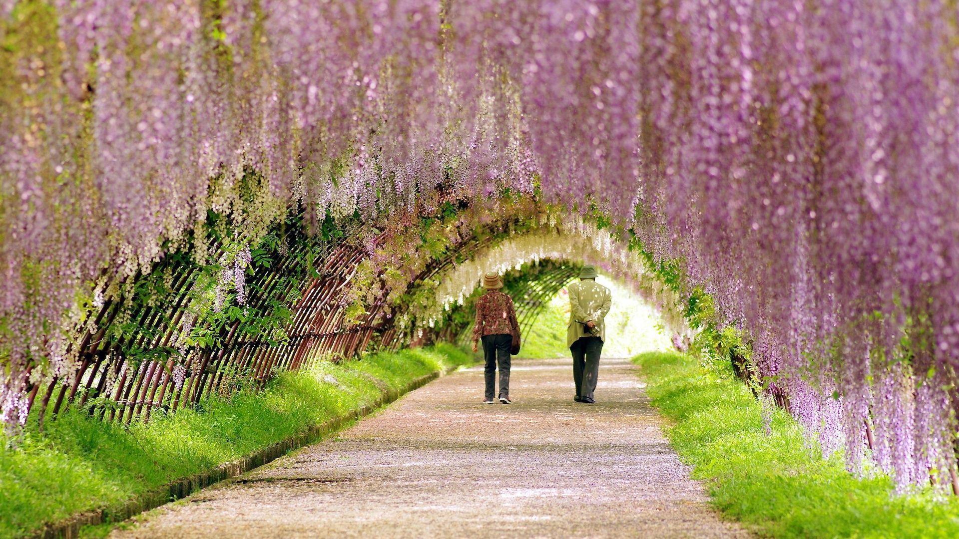 Most Beautiful Spring Wallpaper On