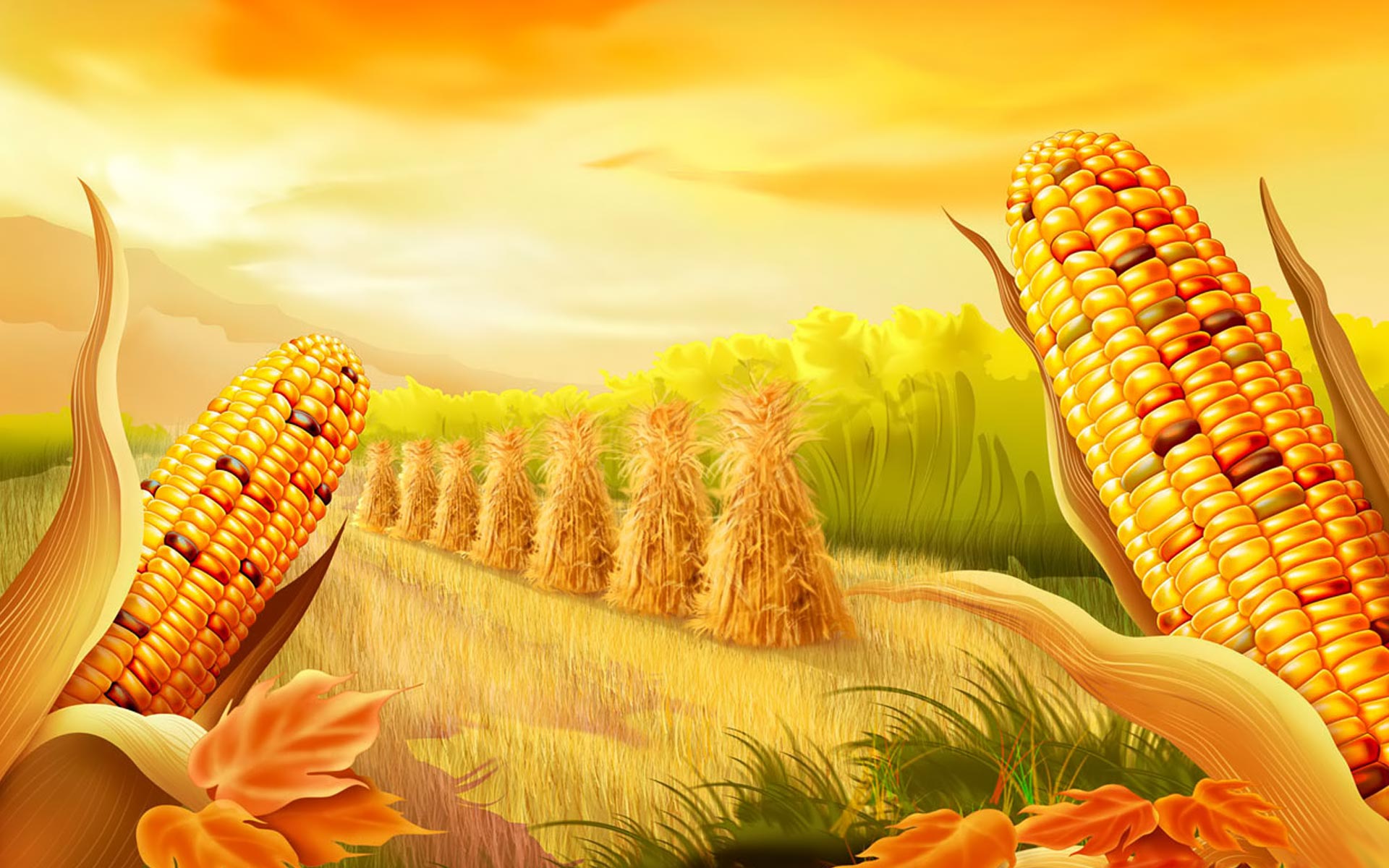 Drawing Corn Harvest HD Wallpaper