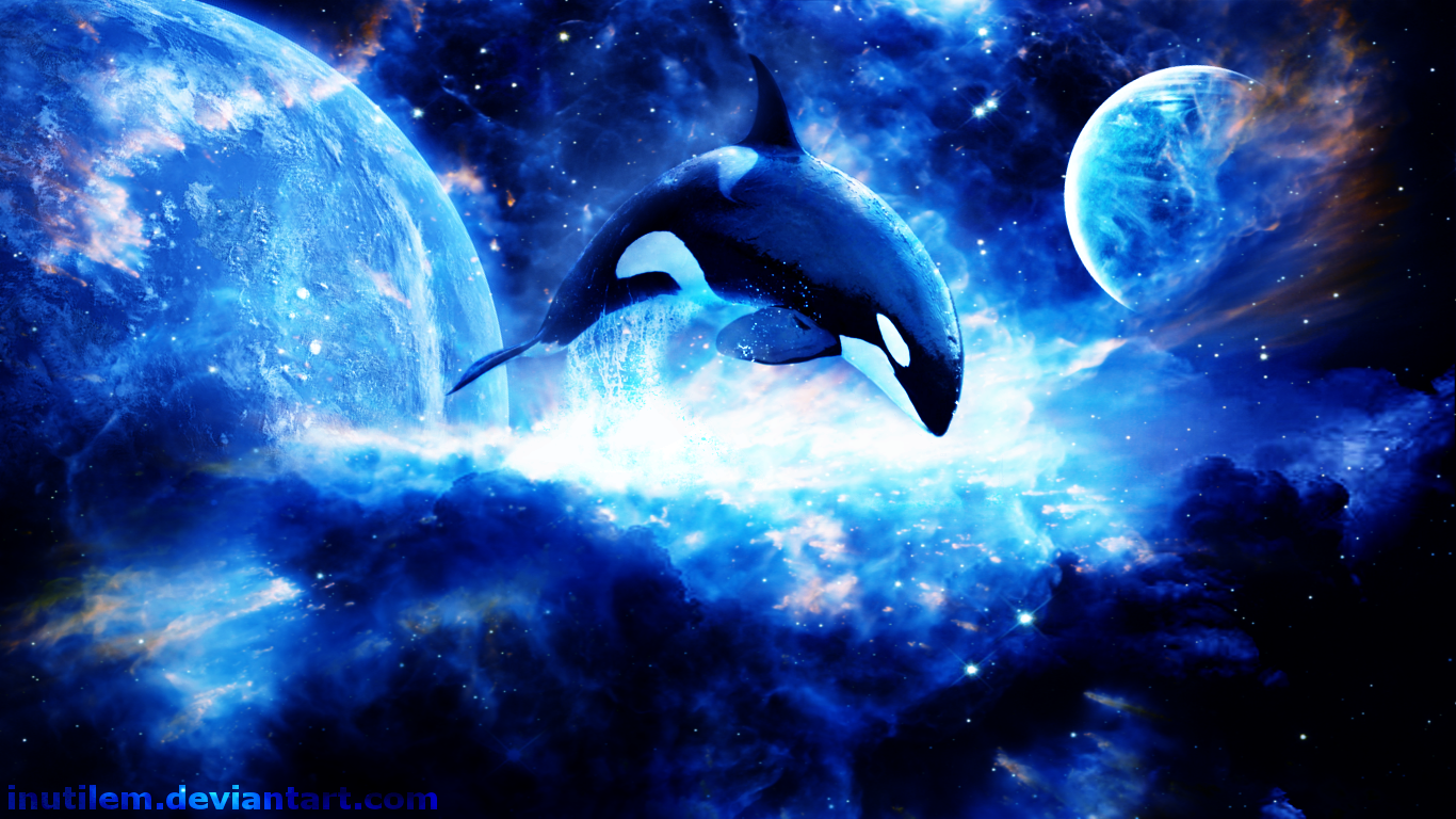 Animal Orca Killer Whale Space Wallpaper