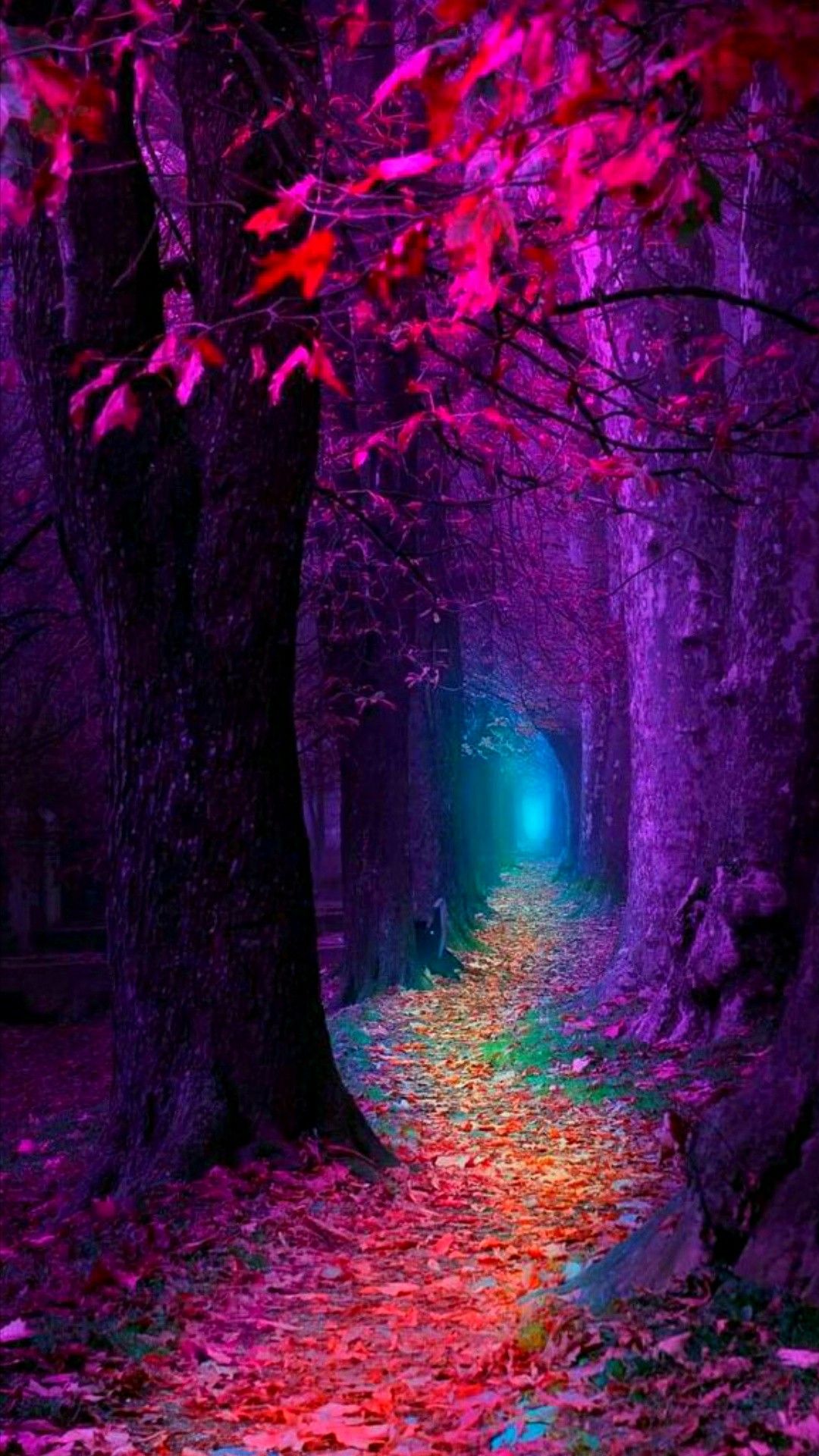 This Magical Forest Is Beyond Belief So Many Colors I See Creates