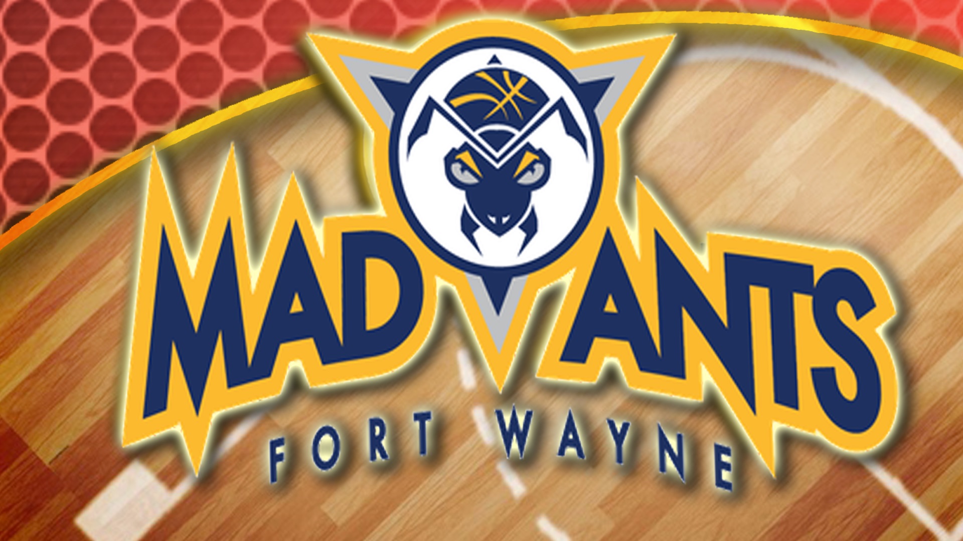 Mad Ants Comeback Falls Short Against Bayhawks
