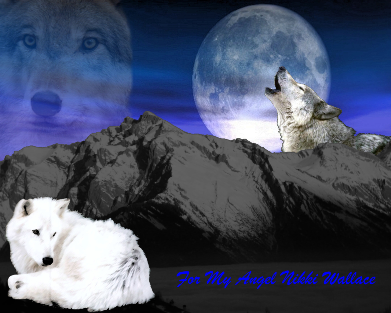 Wolf Background For Desktop Wolves Wallpaper