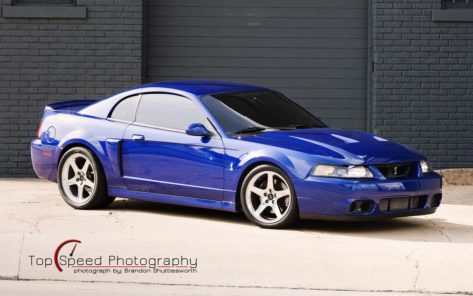 Blue Ford Mustang Svt Cobra Wallpaper