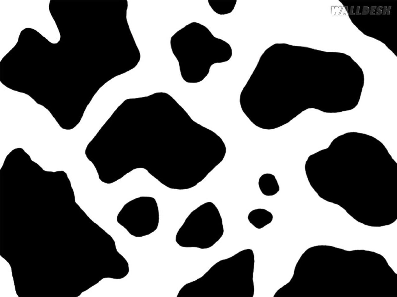 De Vaca Fotos Gr Tis Para Putador Brown Cow Pattern Wallpaper