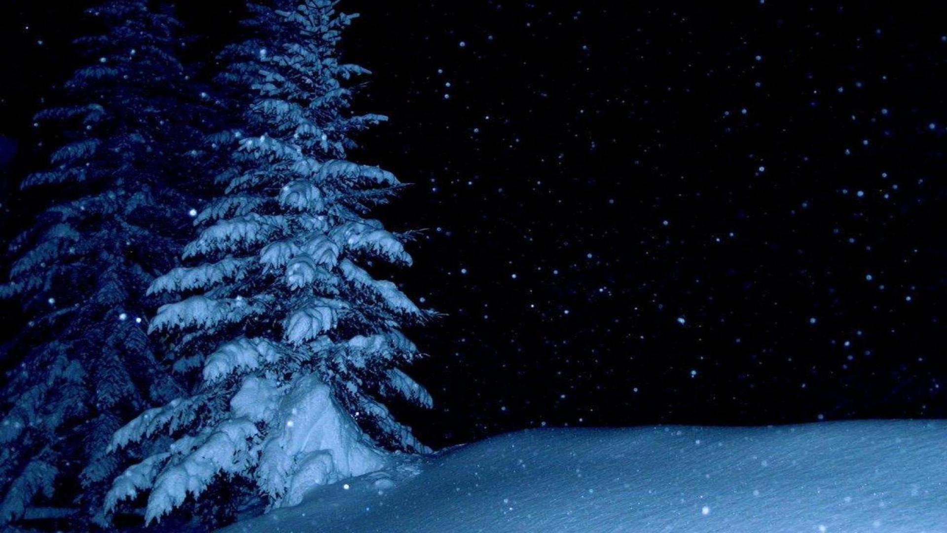 Winter Night Wallpaper Group