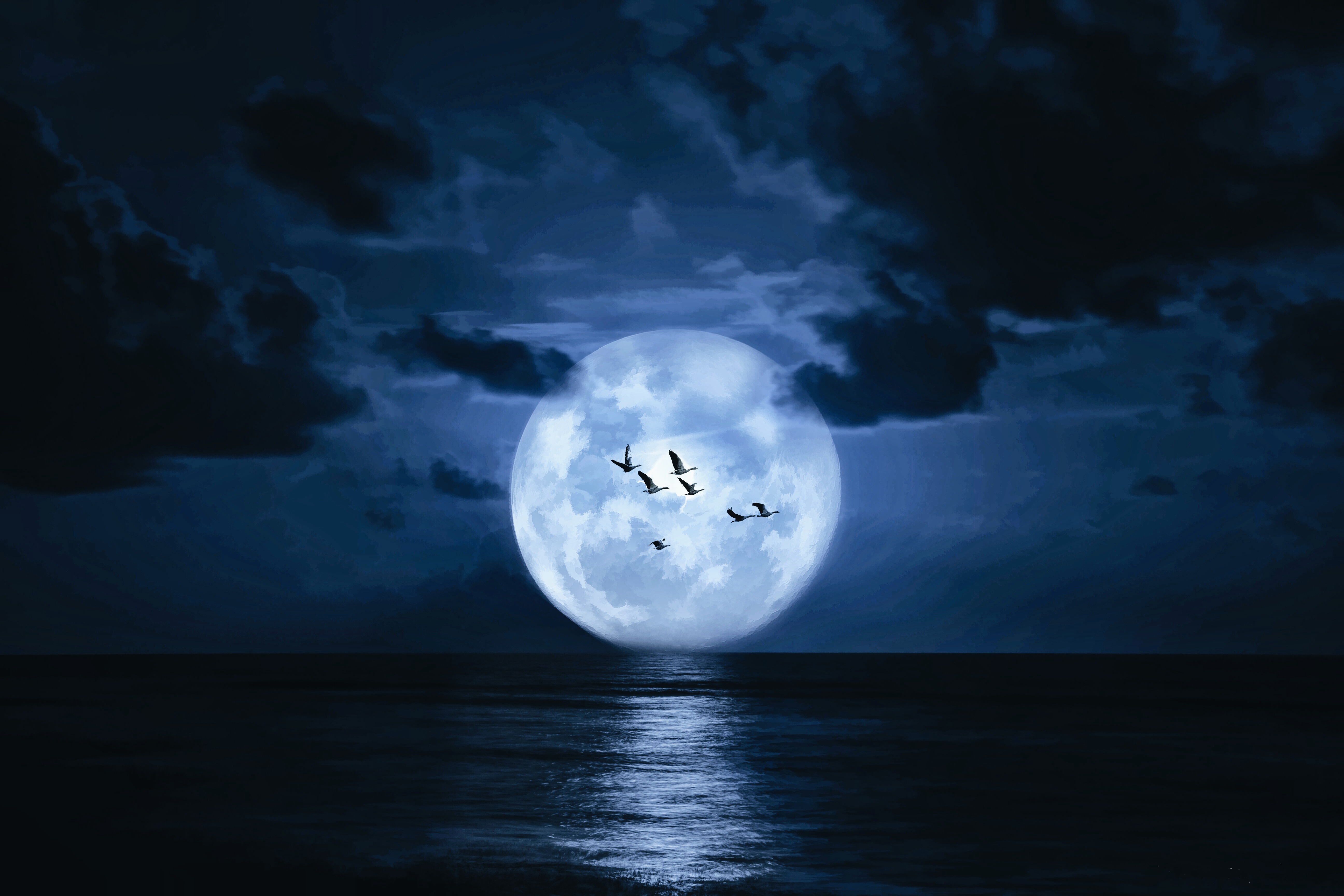 Moon At Midnight 5k Retina Ultra HD Wallpaper Background Image