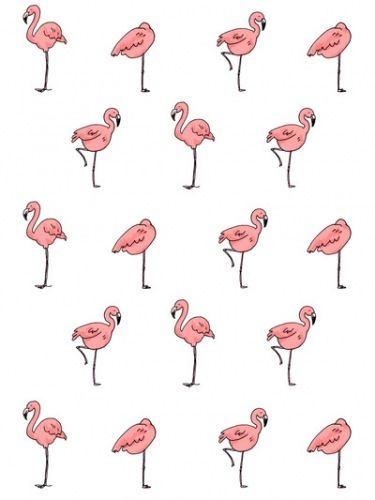 Prints Patterns Illustrations Phones Wallpaper Flamingos