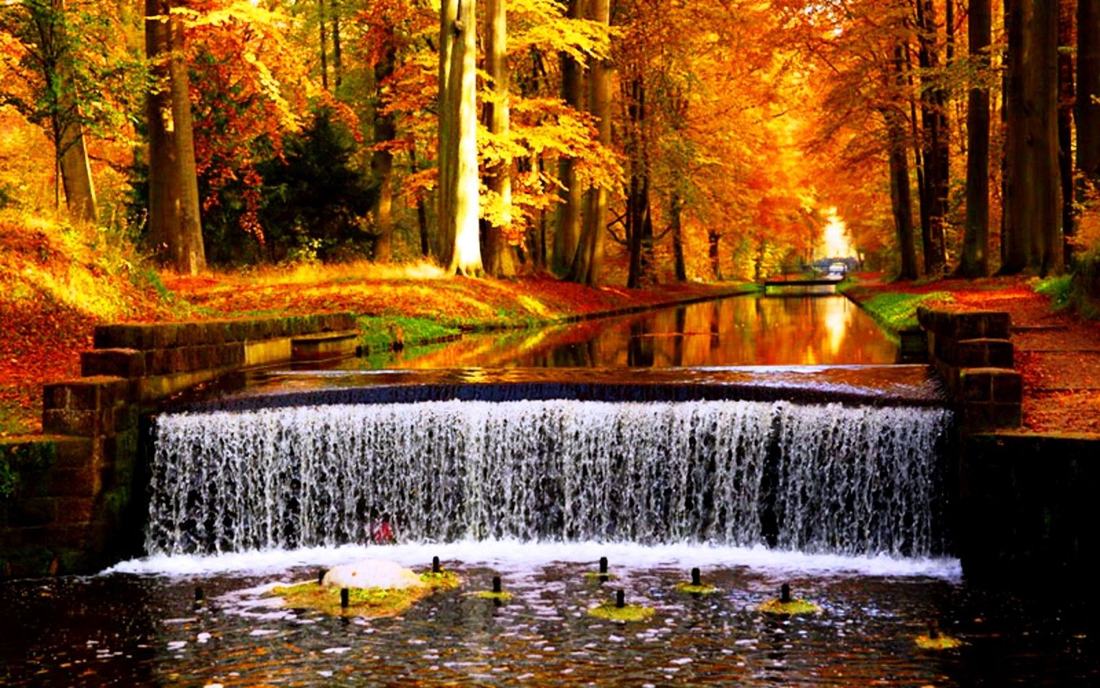 River Fall Forest Park Waterfall Leaves Autumn Colors Desktop