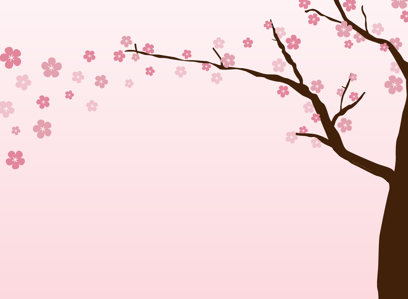 Cherry Blossoms Background