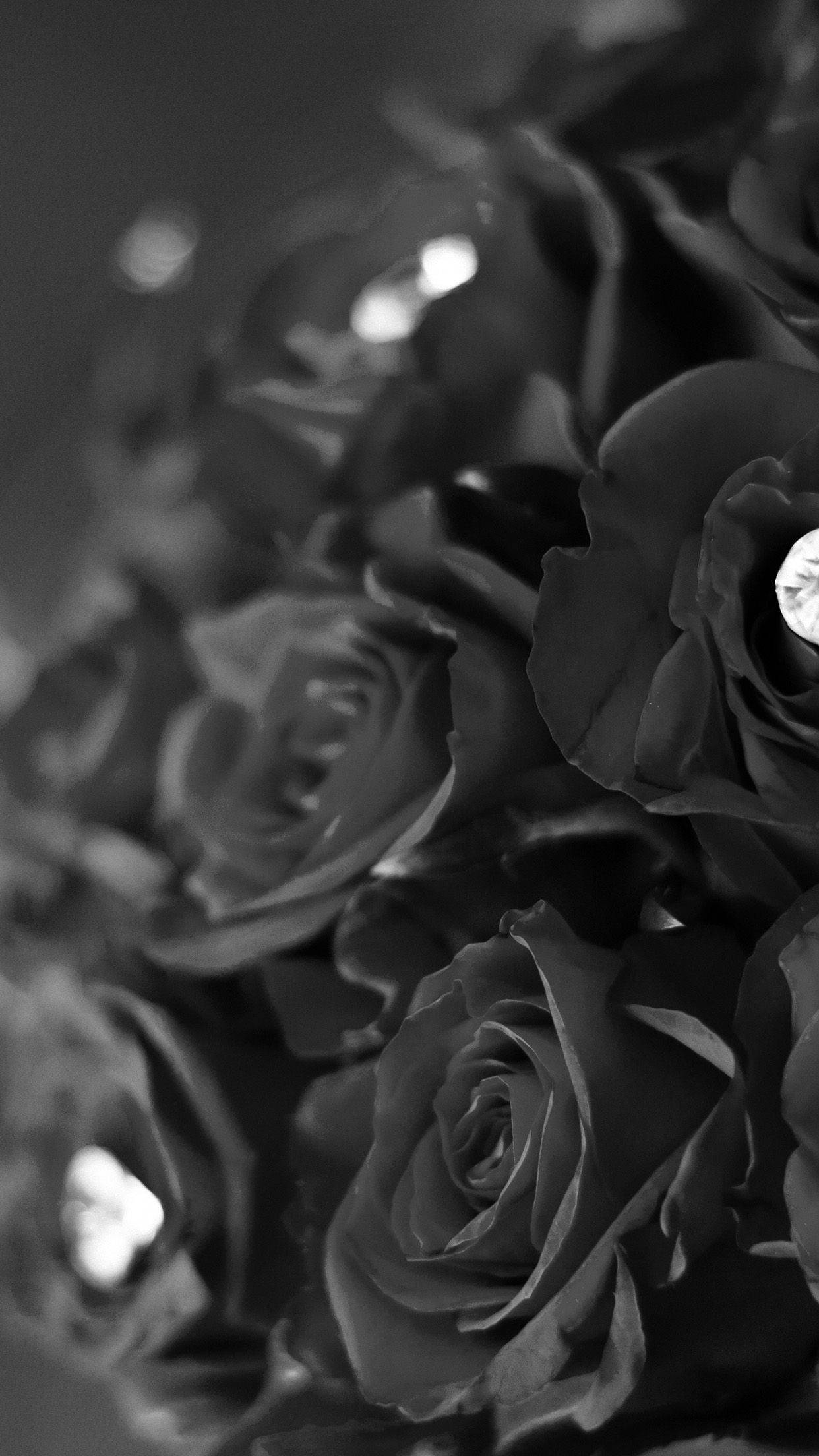 Black Rose iPhone Wallpaper