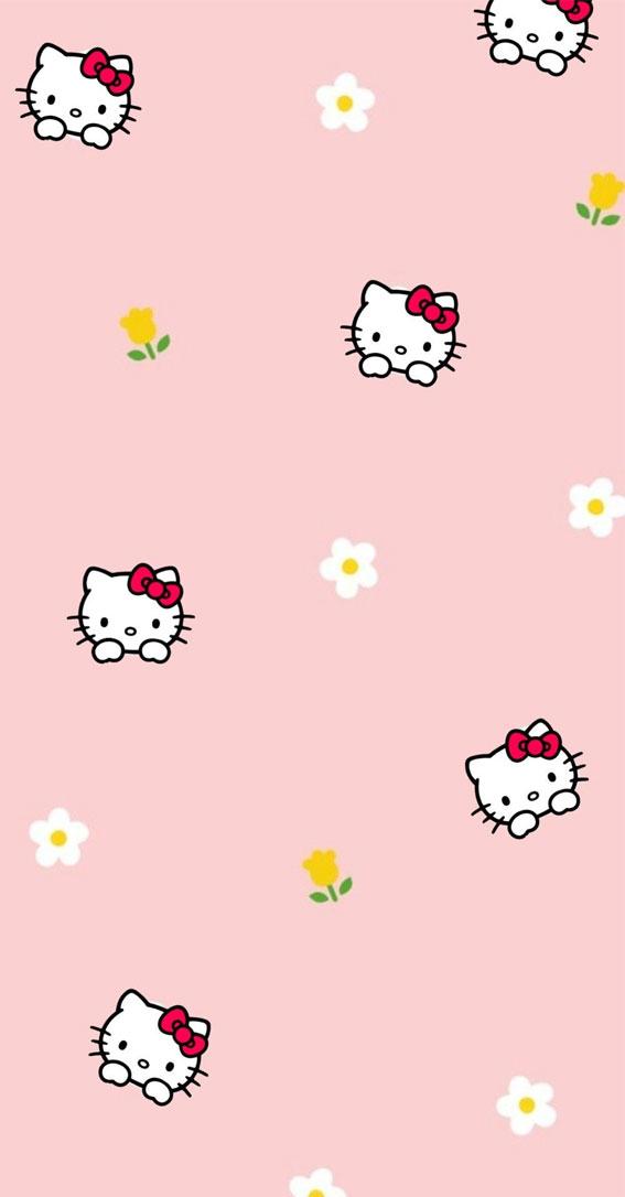 Cute Hello Kitty Wallpaper Ideas Flower