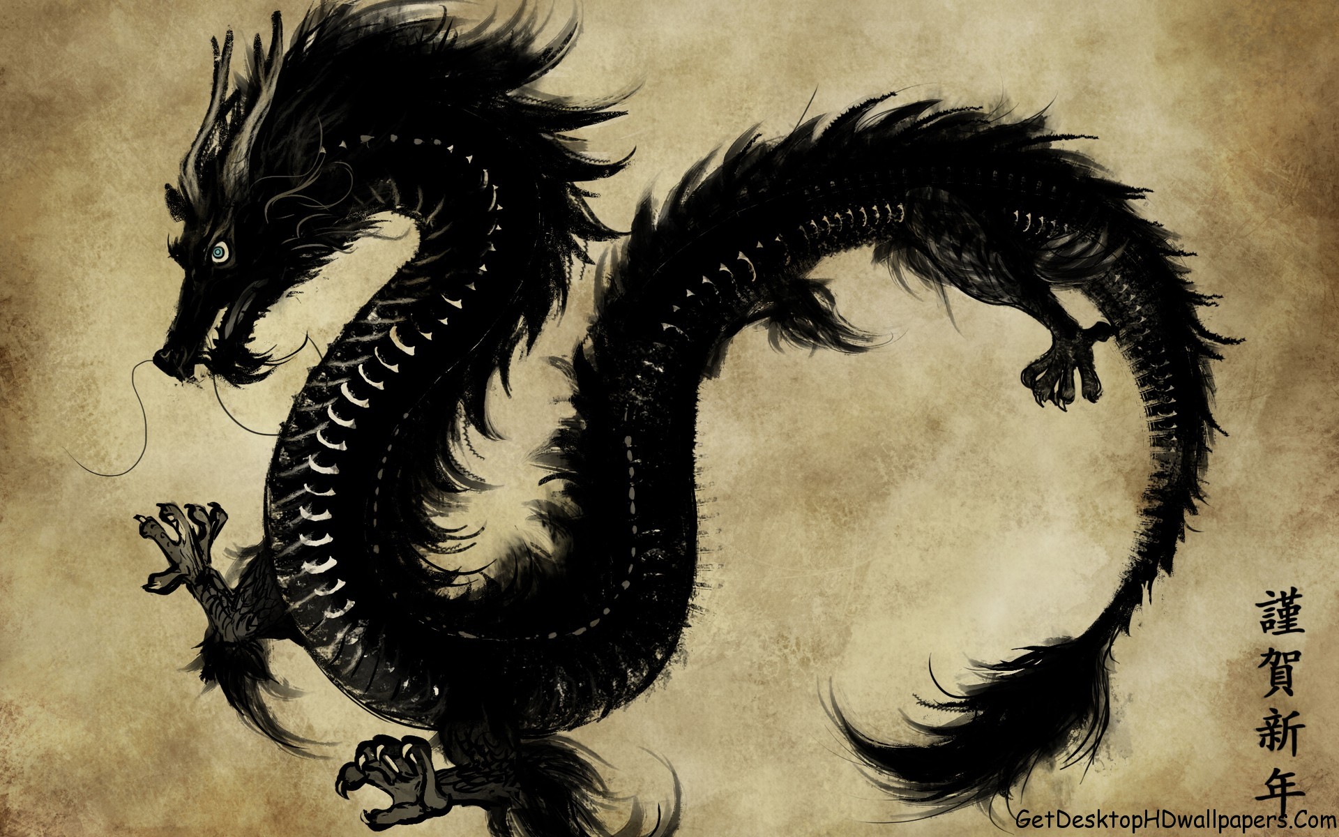 Chinese Black Dragon Art Fantasy HD wallpaper the misty