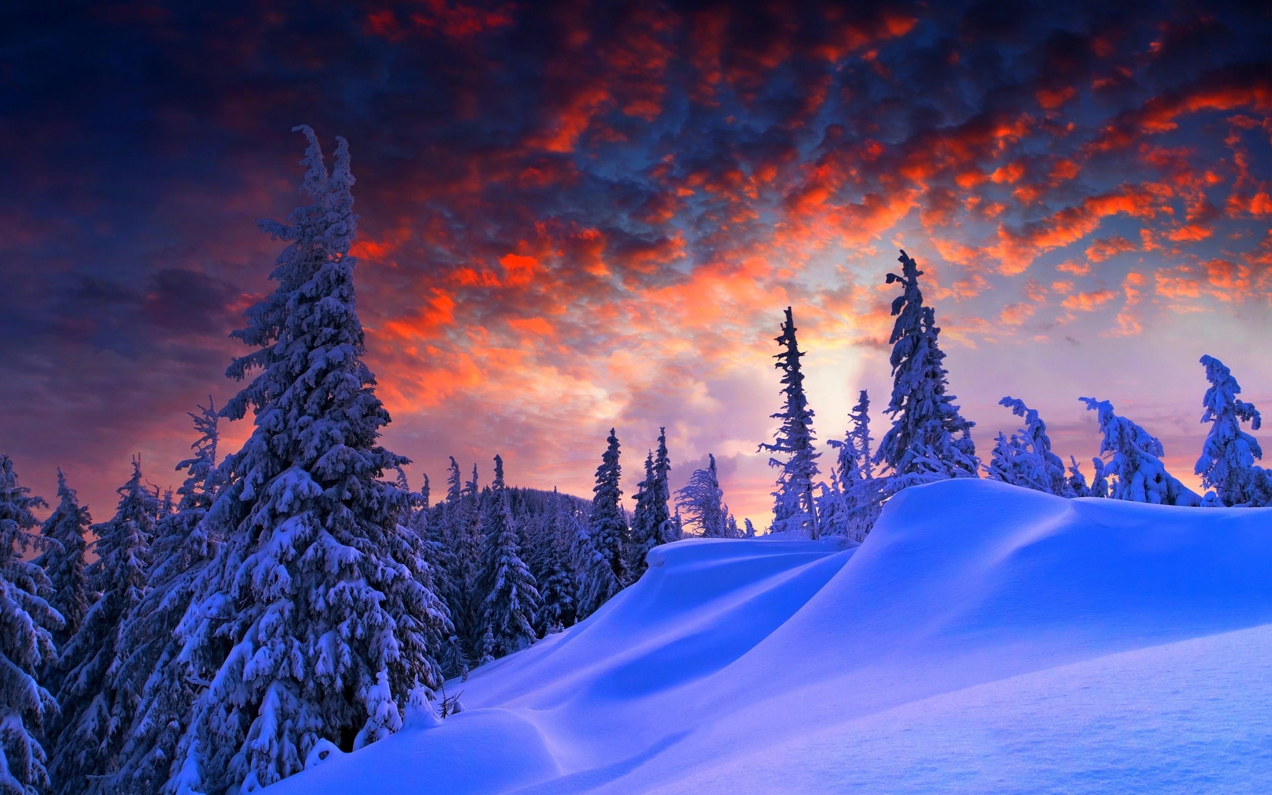 Snowy Landscape Wallpaper