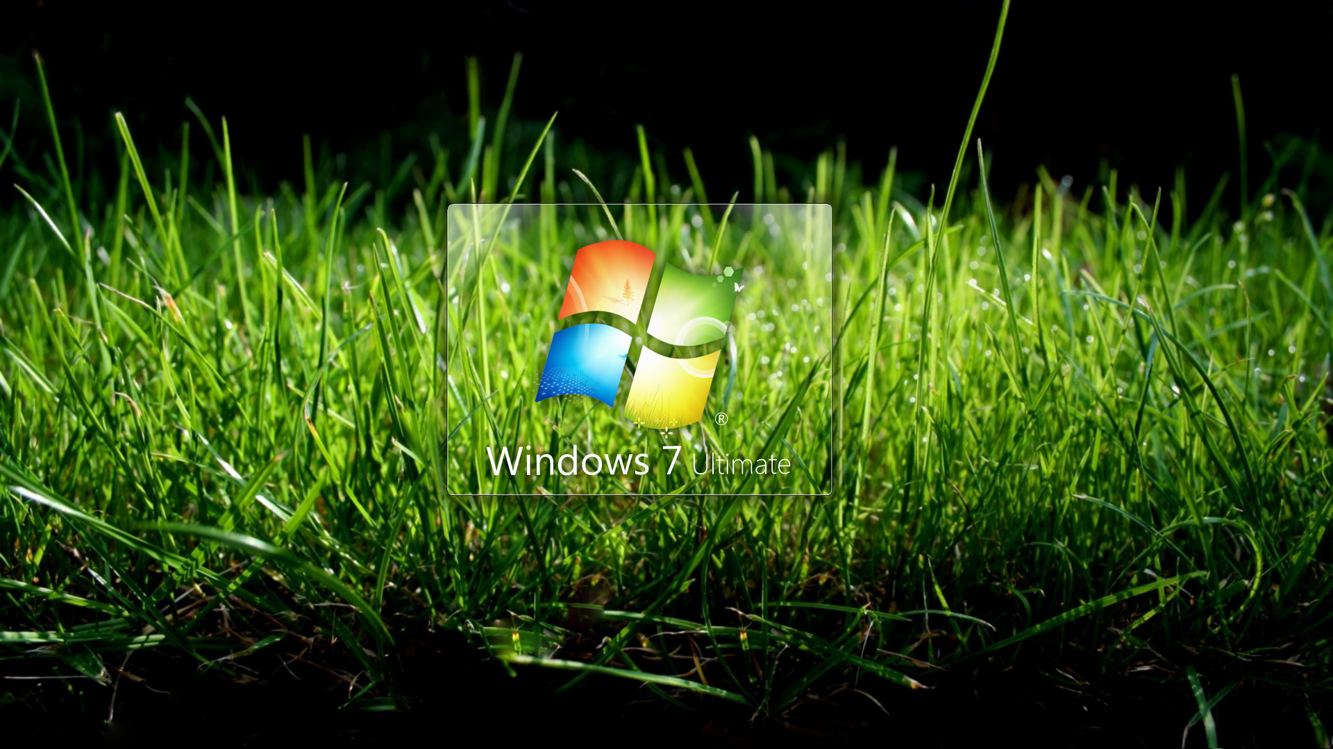 Windows Ultimate Wallpaper Grass Herbs Seven The Logo Desktop