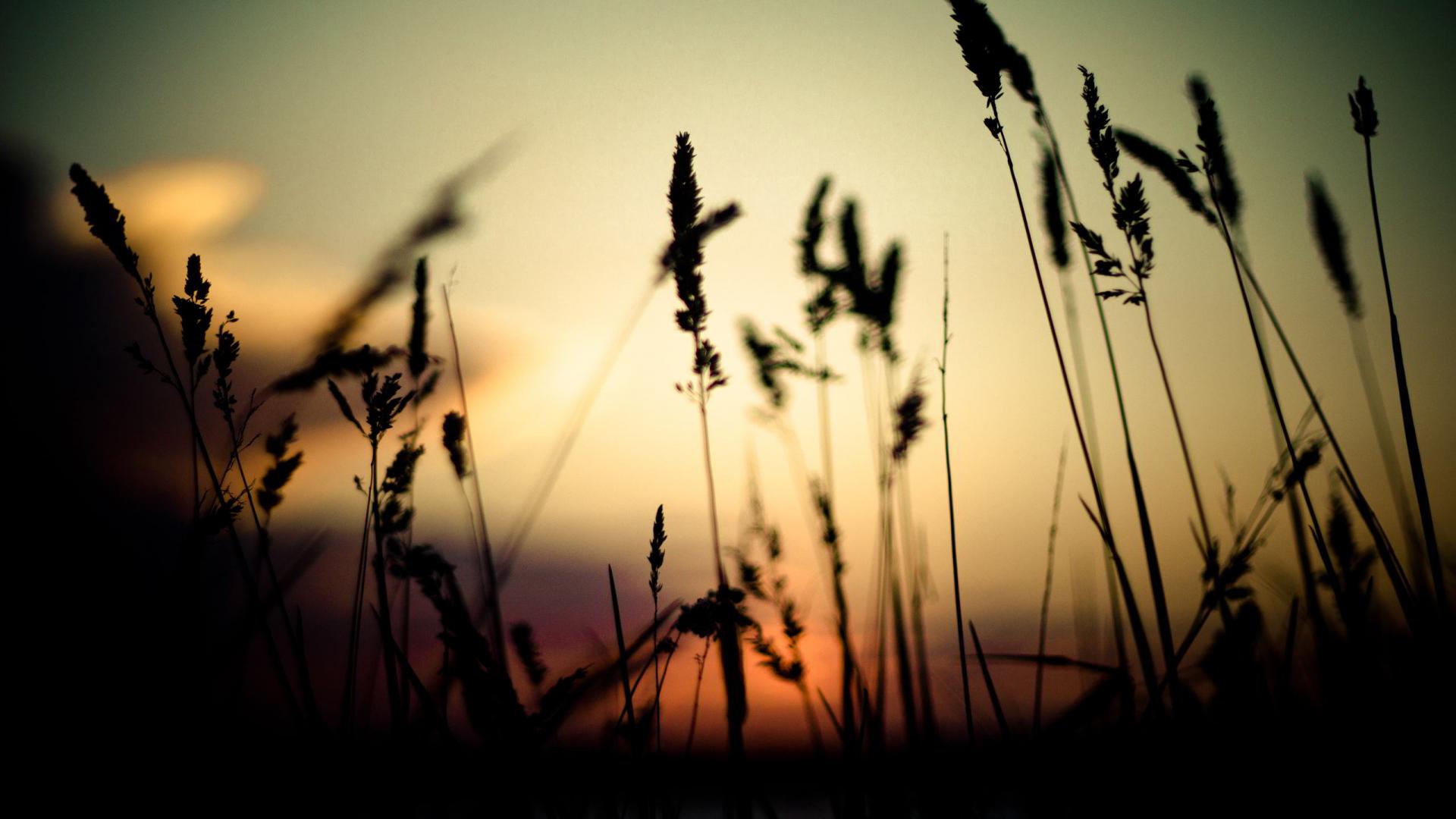HD Laptop Background Wallpaper