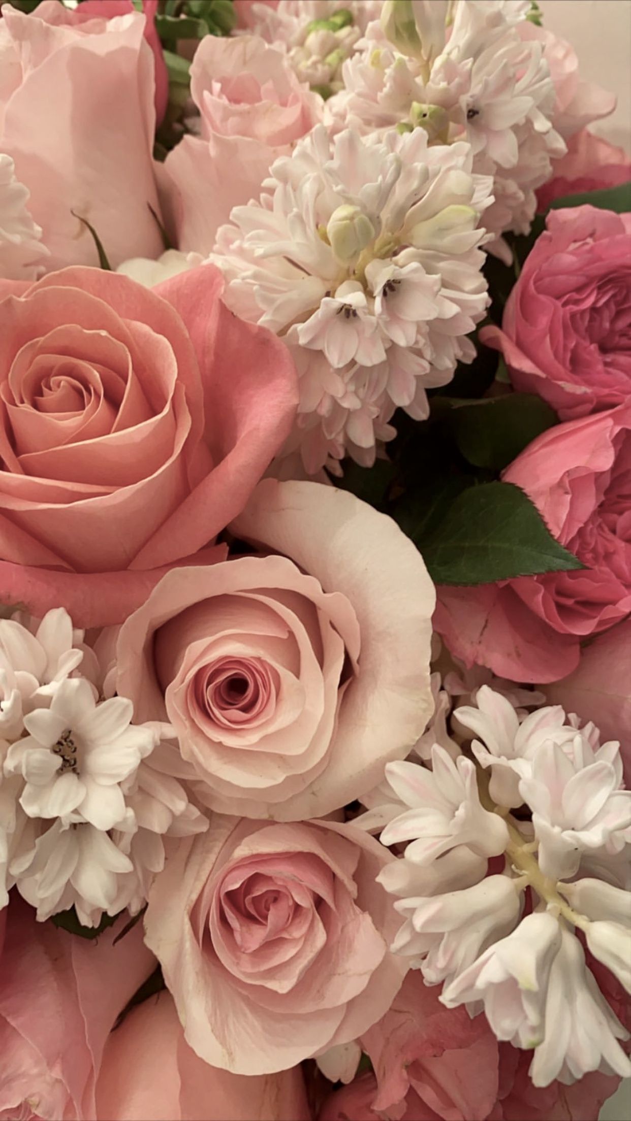Cute Rose Wallpaper Artofit