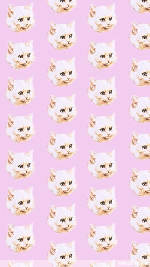 cute cat tumblr background