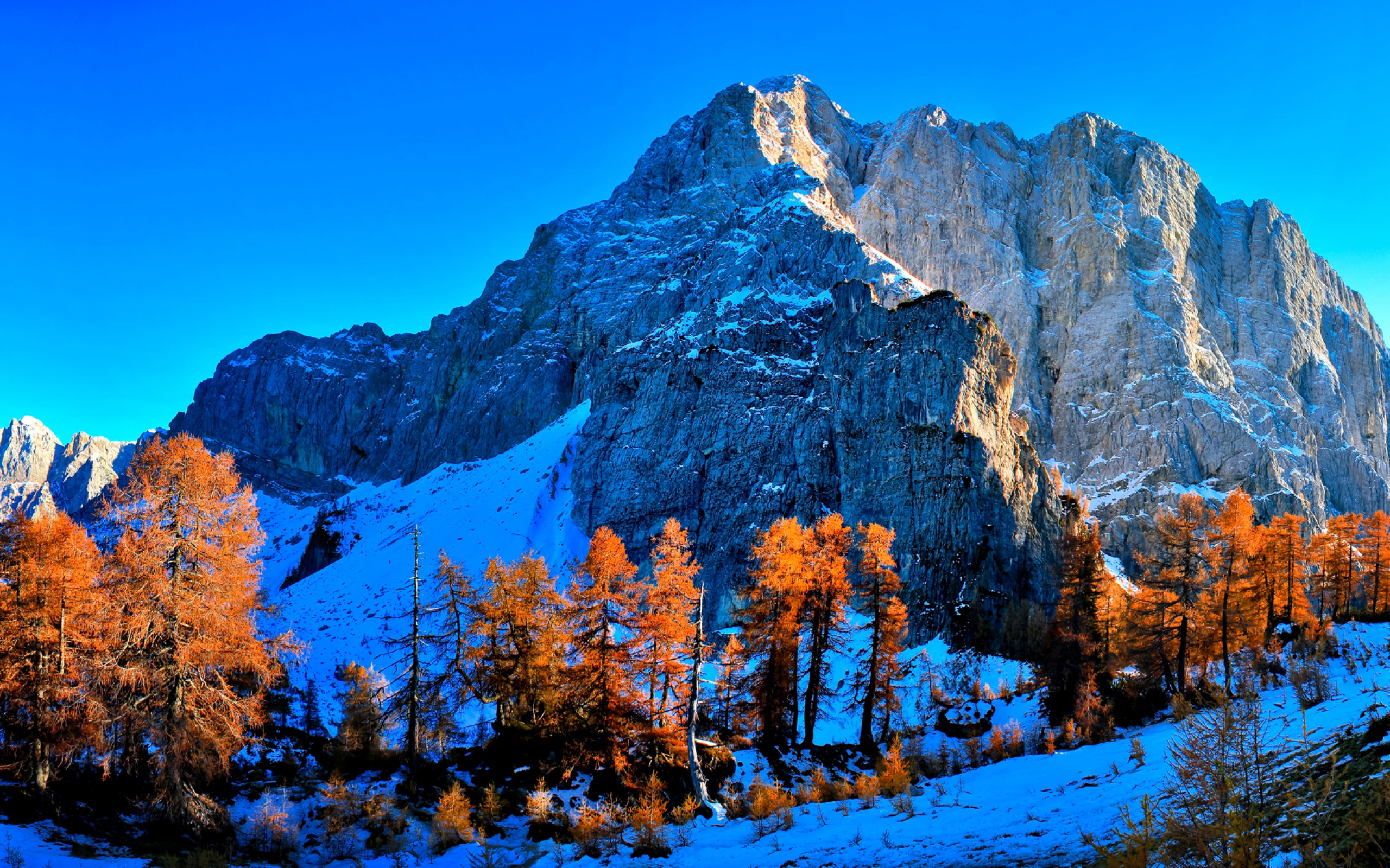 HD Background Kranjska Gora Slovenia Snow Mountains Wallpaper 2560x1600
