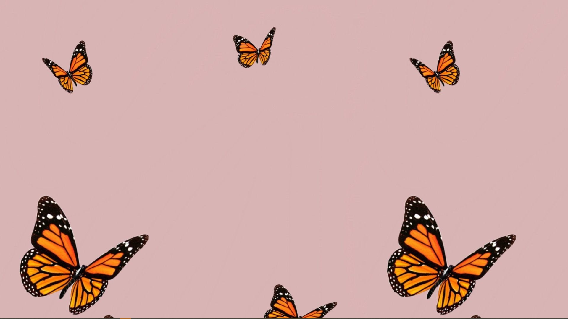 Aesthetic Butterfly Desktop Wallpaper