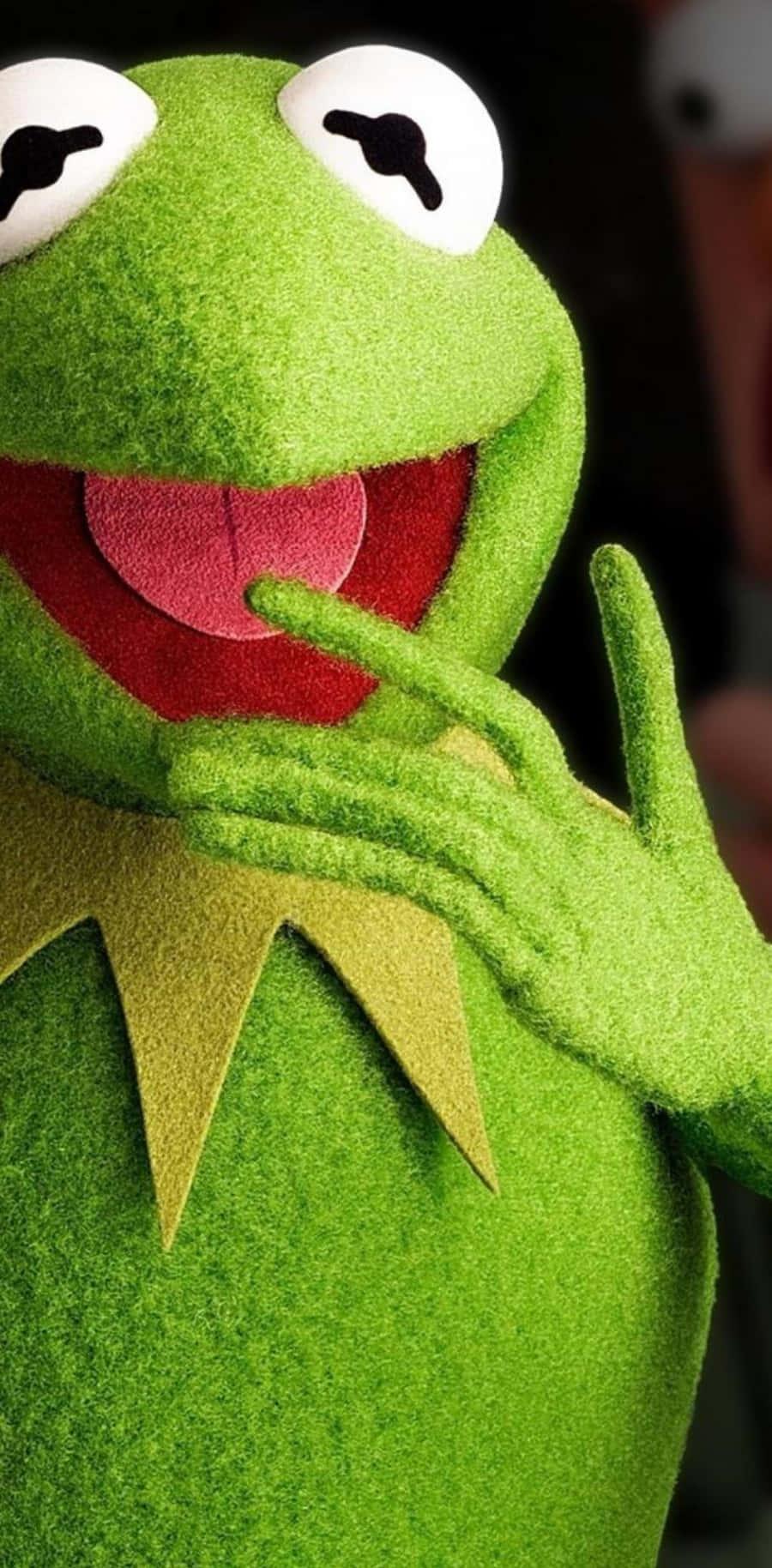 Funny Kermit With A Big Smile Picture Wallpaper