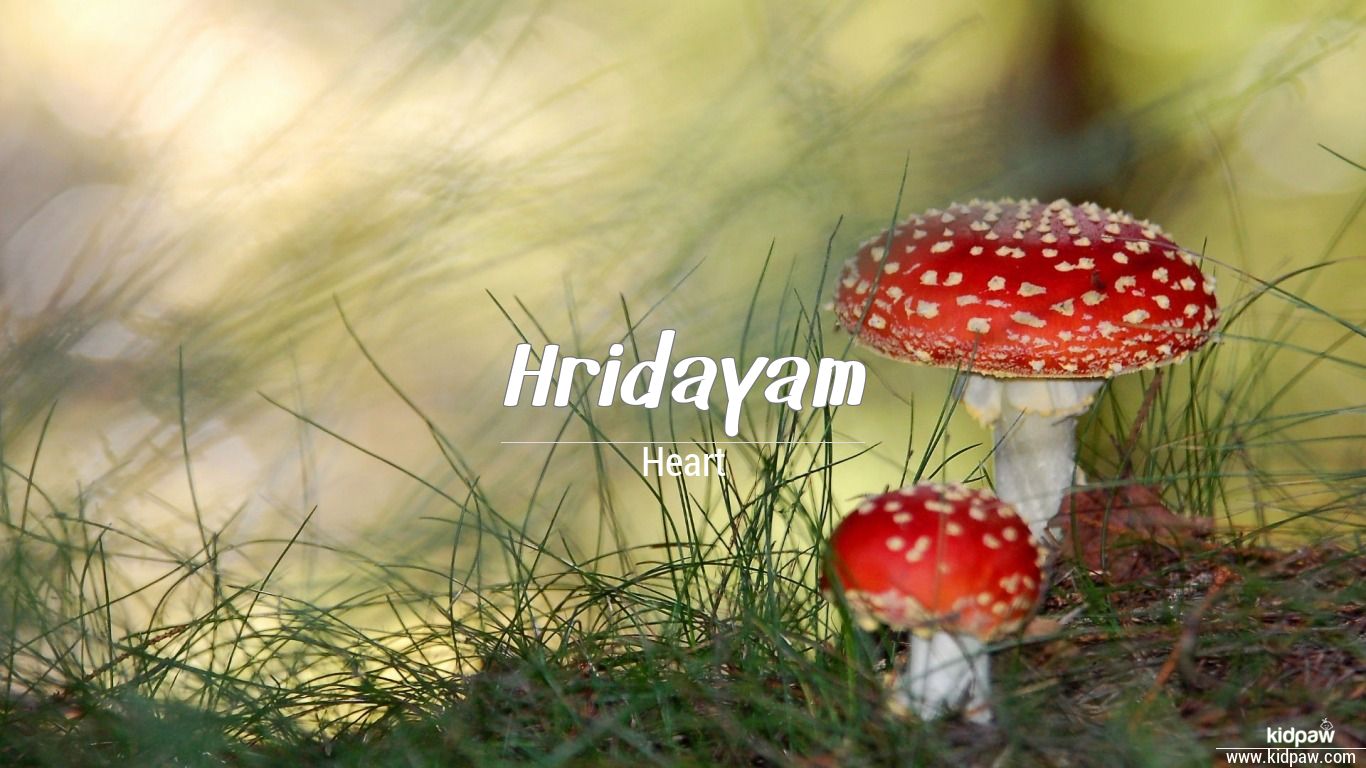 Hridayam Name Meaning In Hindi Lucky Number