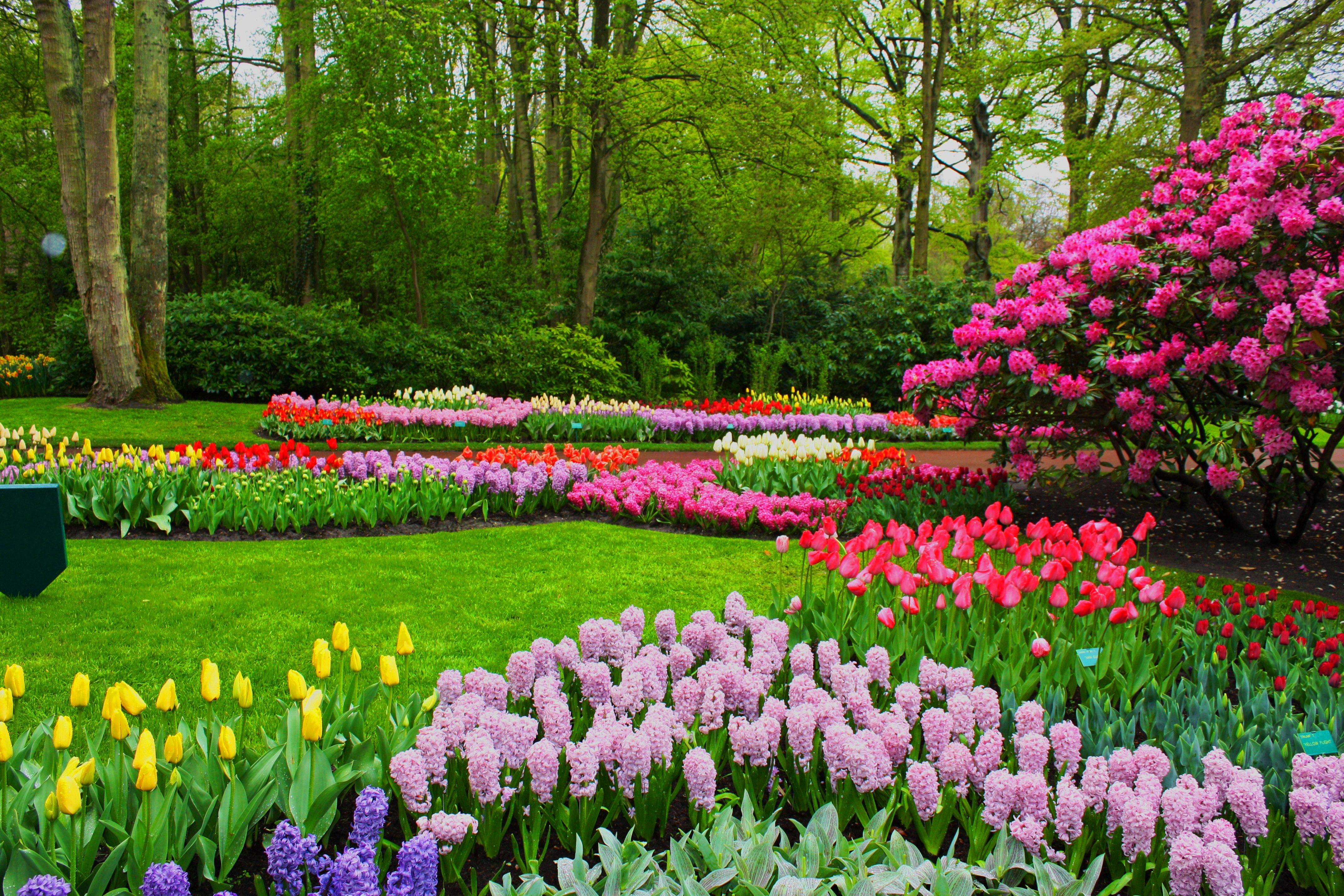 Beautiful Spring Pictures And Wallpaper