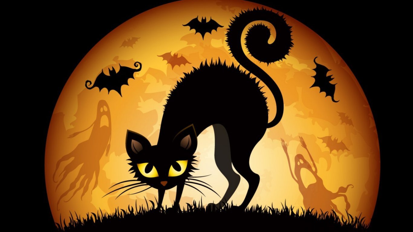 Halloween Cats Bats HD Wallpaper All