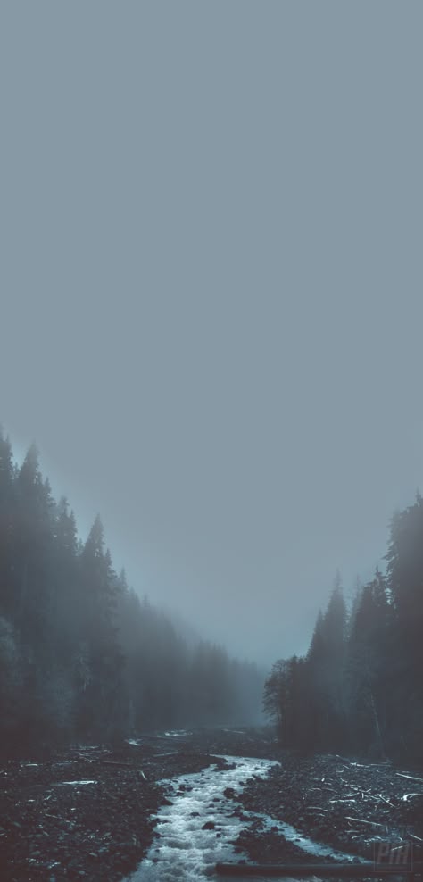 Twilight Aesthetic Ideas Wallpaper