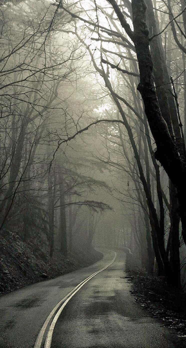 Creepy Forest Road iPhone Plus HD Wallpaper Ipod